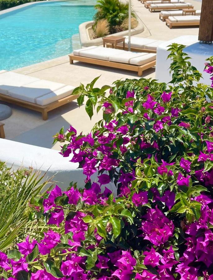 Hotel Aegon Retreat Mykonos Town